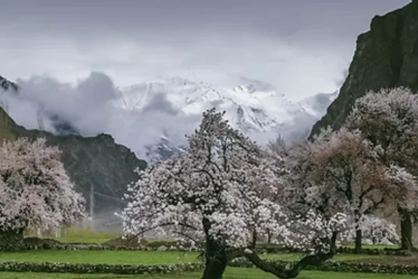 Holy Kailash – Manasarovar Yatra