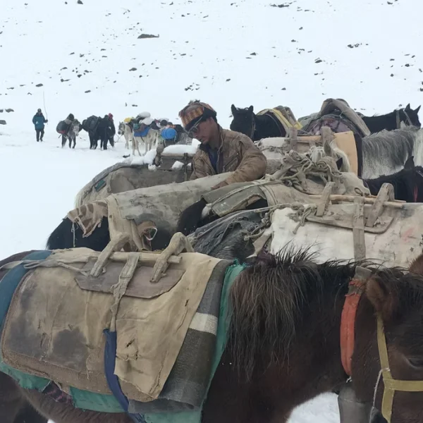 Best Leh Ladakh Tour Packages 2026